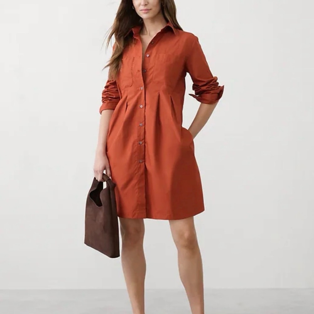 Banana Republic Terracotta Long Sleeve Dress
